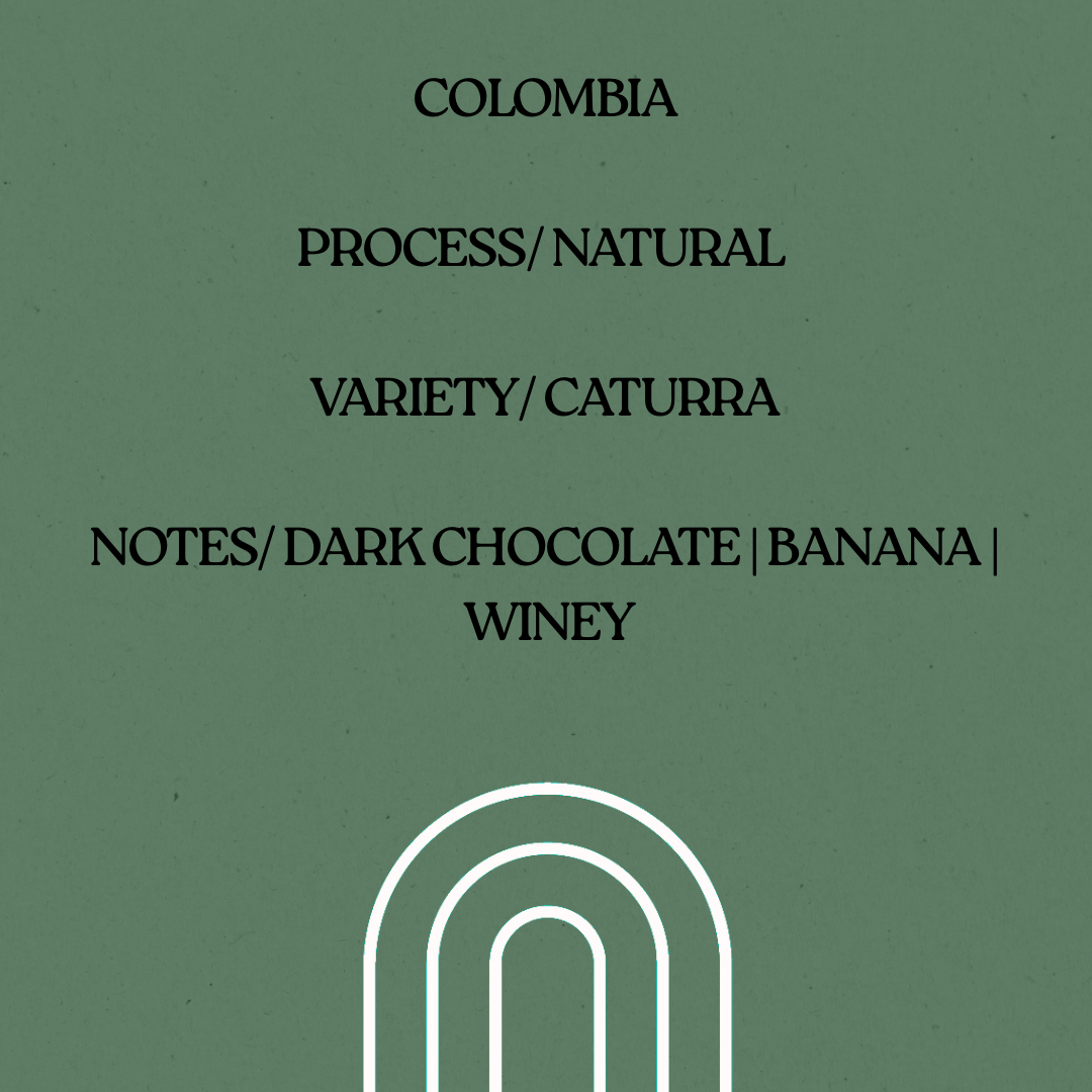 Colombia (Chocoloco)