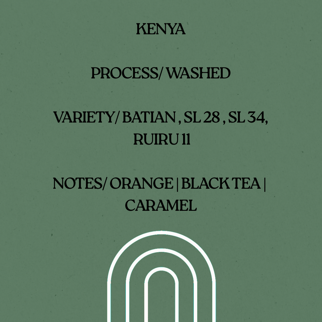 Kenya (Rongo AB)